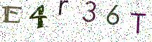 E4r36T