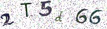2T5d66