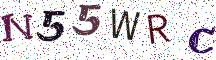 N55WRC