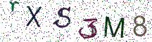 rXS3M8