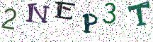 2NEP3T