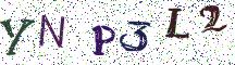 YNP3L2