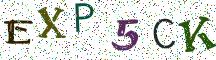 EXP5CK