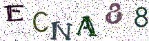 ECNA88