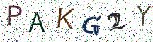 PAKG2Y