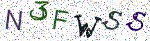 N3FWSS