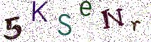 5KSeNr