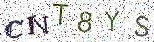 CNT8YS