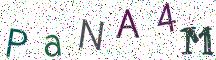 PaNA4M