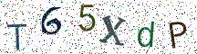 T65XdP