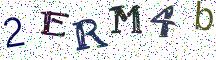 2ERM4b
