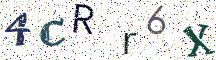 4CRr6X