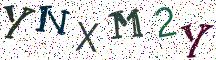 YNXM2Y