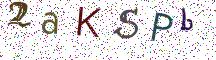 2aKSPb