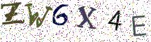 ZW6X4E
