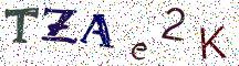 TZAe2K