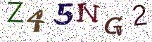 Z45NG2
