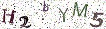 H2bYM5
