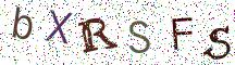 bXRSFS