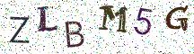ZLBM5G