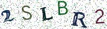 2SLBR2
