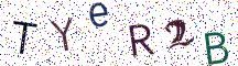 TYeR2B