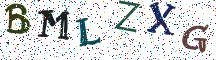 BMLZXG