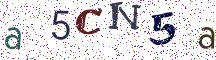 a5CN5a