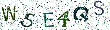 WSE4QS