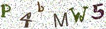 P4bMW5
