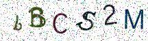 bBCS2M