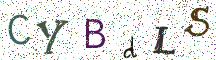 CYBdLS