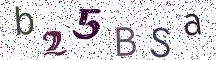 b25BSa