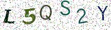 L5QS2Y
