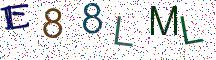 E88LML