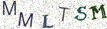 MMLTSM