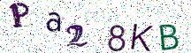 Pa28KB