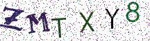 ZMTXY8