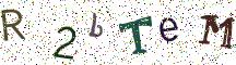 R2bTeM