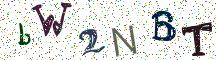 bW2NBT