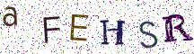 aFEHSR