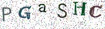 PGaSHC