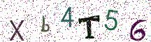 Xb4T56