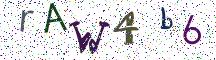 rAW4b6