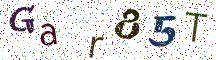 Gar85T