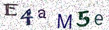 E4aM5e