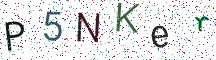 P5NKer