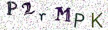 P2rMPK