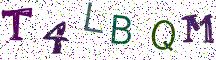 T4LBQM
