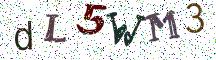 dL5WM3